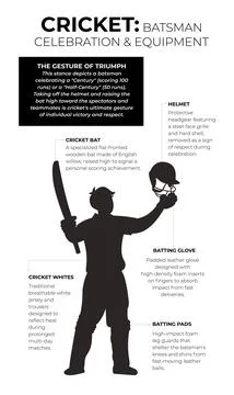 Infographic Poster Explaining Cricket Batsman Celebration Stance And Profes.. Stock Illustration