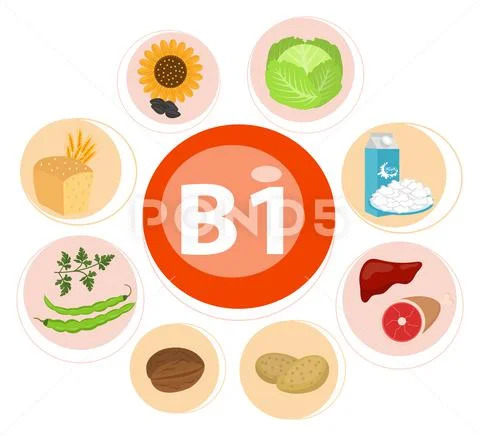 Infographic set of vitamin B1 and useful products spinach, carrot, nut ...