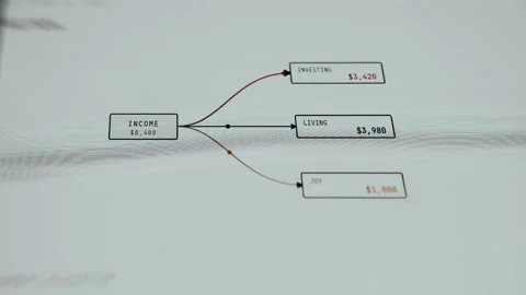 Infographic showing method for organizing personal finances into categories Stock Footage 335895628