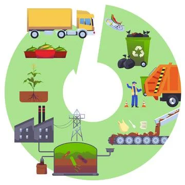 Infographic with stages of organic waste processing flat style Illustrazione stock