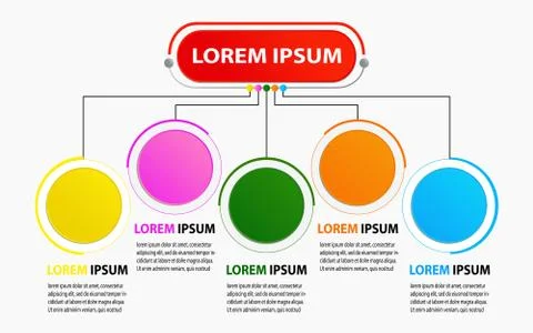 Infographic template with 5 option Stock Illustration