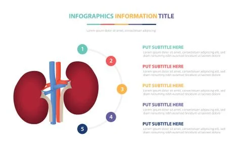 Infographic template concept with five points list and various color with cle Stock-Illustration