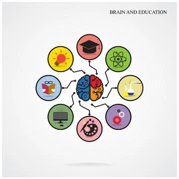 Infographic template creative brain education and science concept Illustrazione stock