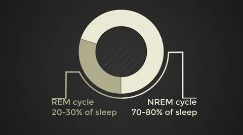 Infographics about structure of sleep Stock Footage 42703938