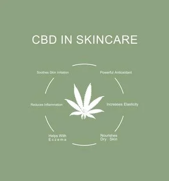 Infographics CBD properties in skin care treatment. Stock Illustration