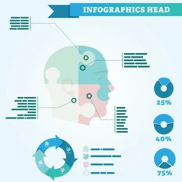 Infographics of head: the head is divided into four parts of the puzzle ele.. Stock Illustration