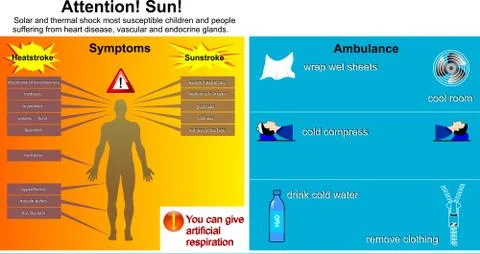 Infographics Illustrazione stock