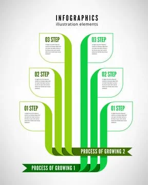Infographics process Infographics process descriptions cultivation and man... Stock Photos