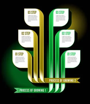 Infographics process Infographics process descriptions cultivation and man... Stock Photos
