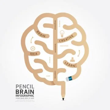 Infographics vector pencil brain design diagram line style template Stock Illustration