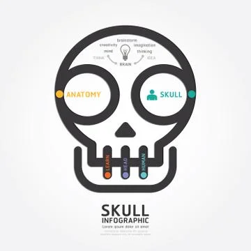 Infographics vector skull and brain design diagram line style template Stock Illustration