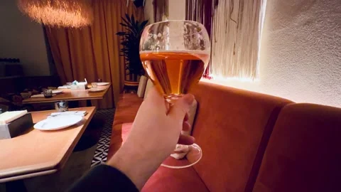 Informal dinner gathering, Relaxed evening with friends, Comfortable social Stock Footage 325230997