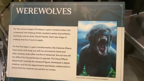  Information board of the Animatronics of the Harry Potter movies werewolf Stock Footage 326653872