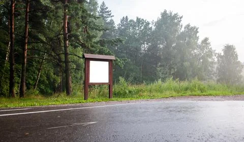 Information board by the road in a pine forest after rain. Mockup Foto stock