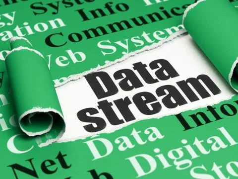 Information concept: black text Data Stream under the piece of  torn paper Illustrazione stock