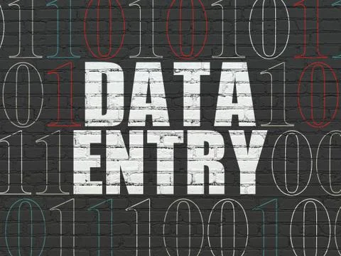 Information concept: Data Entry on wall background 库存插图