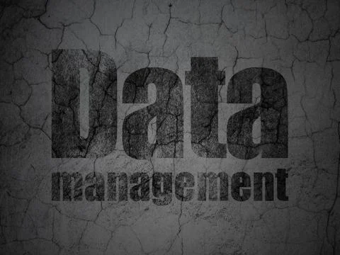 Information concept: Data Management on grunge wall background Illustrazione stock