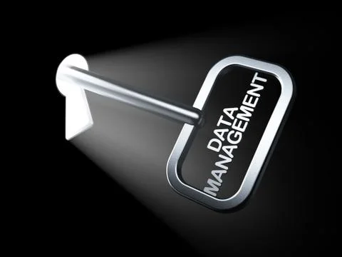 Information concept: Data Management on key Illustrazione stock