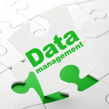 Information concept: Data Management on puzzle background Illustrazione stock