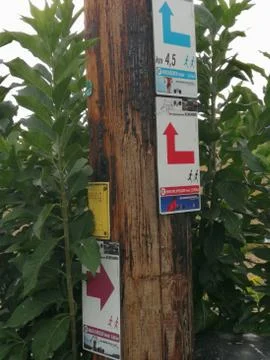 Information Marking on walking-route Stock Photos
