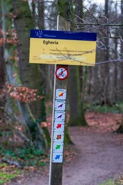 Information pole in a forest Stock Photos