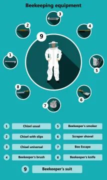 Information poster containing beekeeping equipment made in a flat style Stock Illustration