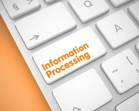 Information Processing - Text on the White Keyboard Key. 3D. Illustrazione stock