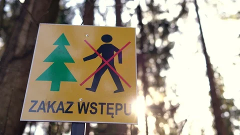 Information sign prohibiting entry into the forest Stock Footage 128258655
