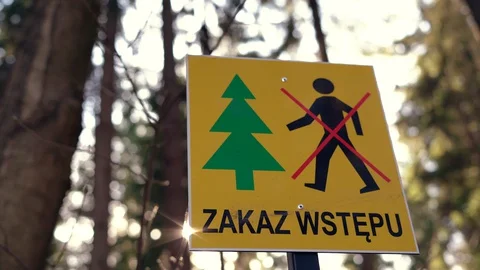 Information sign prohibiting entry into the forest. Stock Footage 128258813