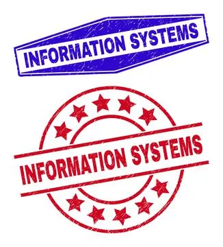 INFORMATION SYSTEMS Unclean Badges in Circle and Hexagon Forms Illustrazione stock