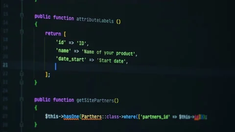 Information technology, IT business. Programmer developing new application Stock Footage 200912186