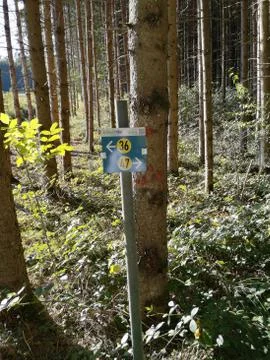 Information on tree Stock Photos