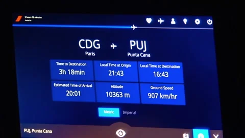 Informational display about flight at relation Paris, France to Punta Cana. Видео 233295123