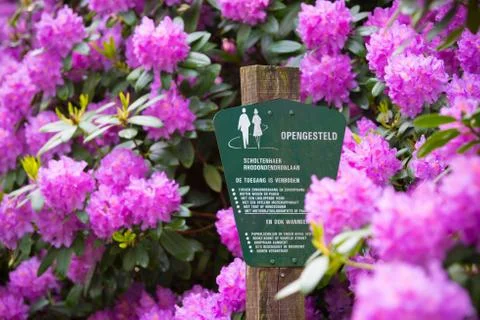 Informational shield between flowers Stock Photos