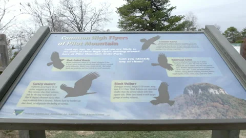 Informational Sign at Pilot Mountain State Park Stock Footage 343934691