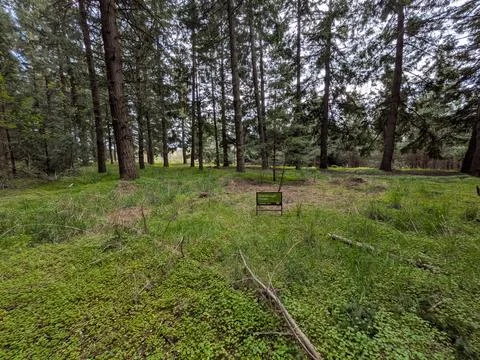 Informational "Uneven Age Forest Thinned 2011" sign overlooking Stock Photos