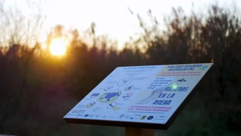 Informative sign about sea turtles at sunrise Stock Footage