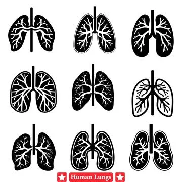 Informative Vector Art of Human Lungs for Medical Product Label Design Illustrazione stock