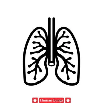 Informative Vector Art of Human Lungs Perfect for Health Magazine Illustratio Stock Illustration