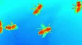 Infra red macro close up of Bees swarming against a skylight HD Footage