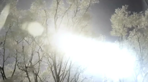 Infra red shot of trees and sun 스톡 동영상 38010855