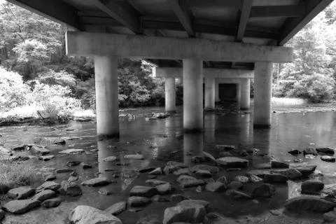 Infrared Bridge in the Forest Stock Photos