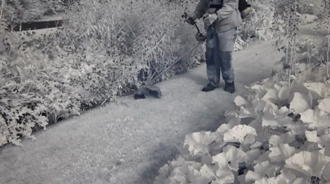 Infrared Finland: cutting grass in a park 1 Stock Footage