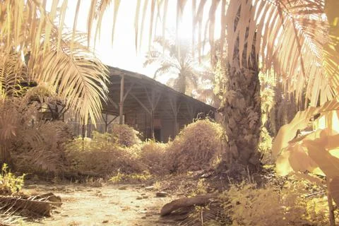 Infrared image Fotos de archivo