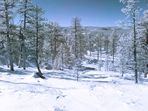Infrared landscape Foto stock
