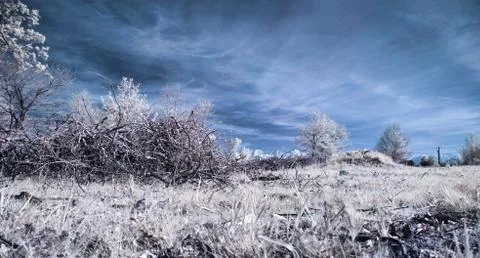 Infrared landscape 스톡 사진