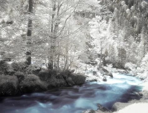 Infrared landscape Foto stock