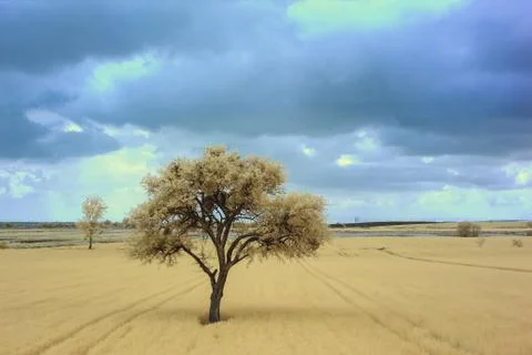 Infrared Landscape View Stock Photos