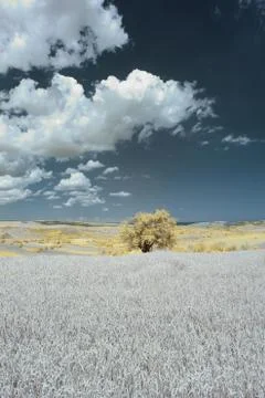 Infrared Landscape View Stock Photos