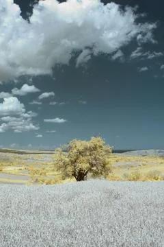 Infrared Landscape View Stock Photos